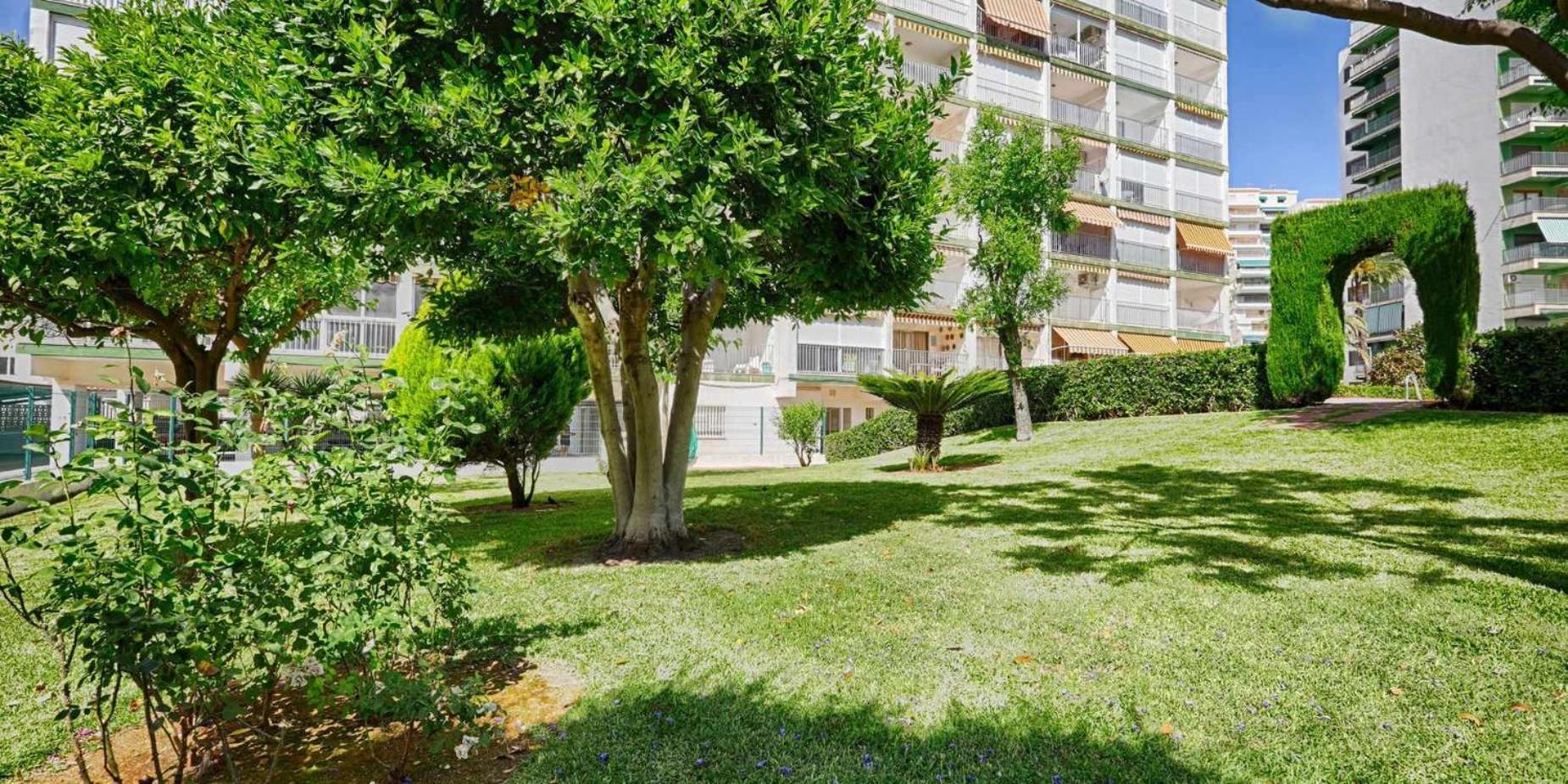 Apartamento Brasil Mar Playa de Gandia Esterno foto